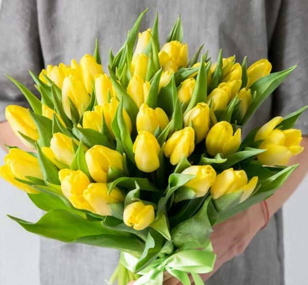 Солнечный момент