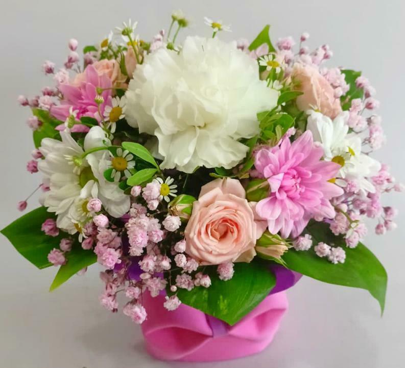 Комплемент Тебе!