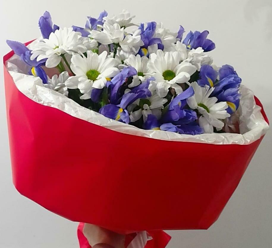 Хризантемный дуэт