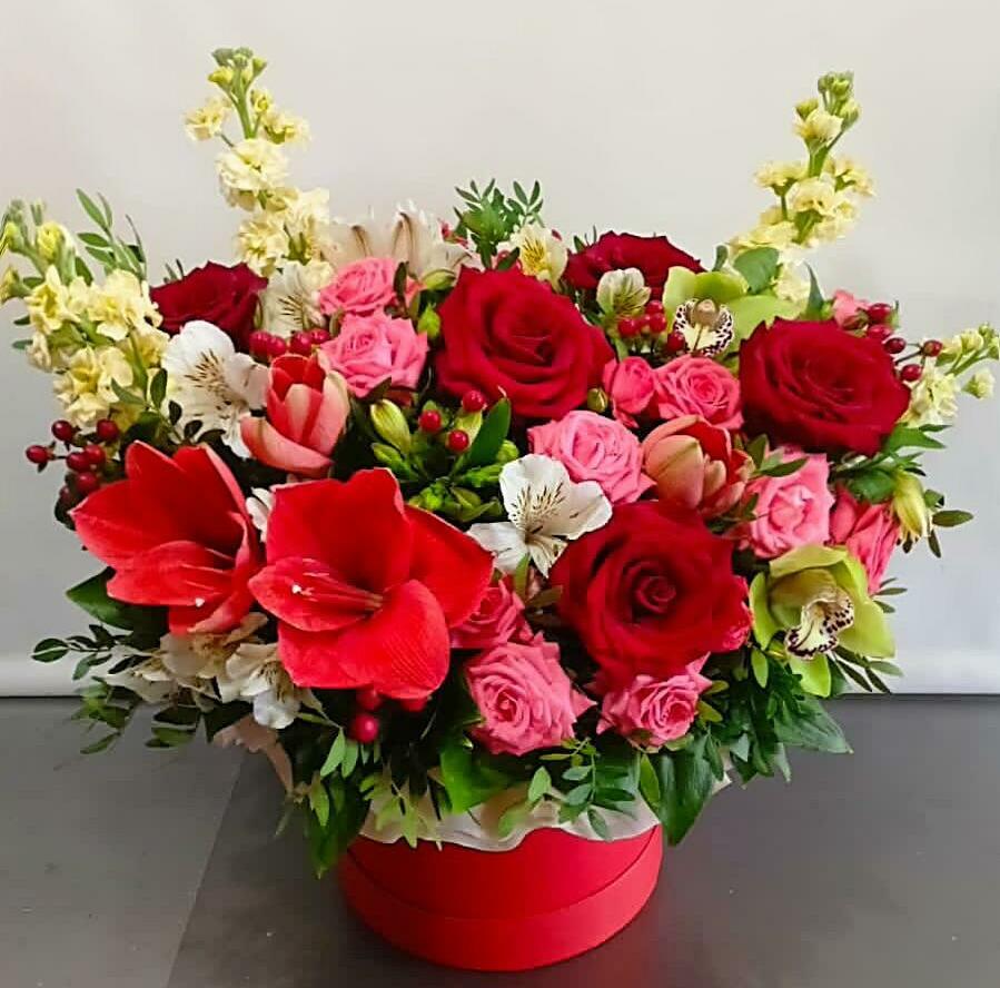 <span style="font-style: italic;">Композиции </span>