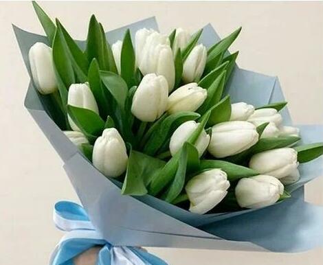 Белоснежный комплимент