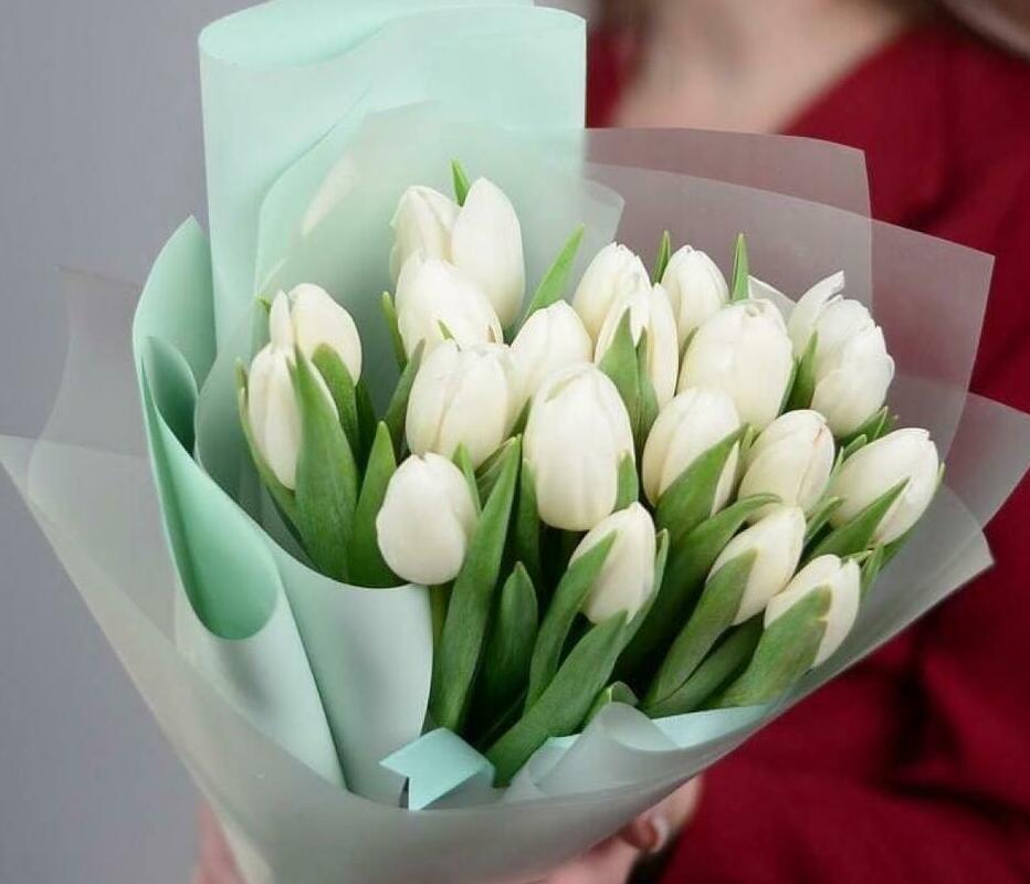 Белоснежный привет