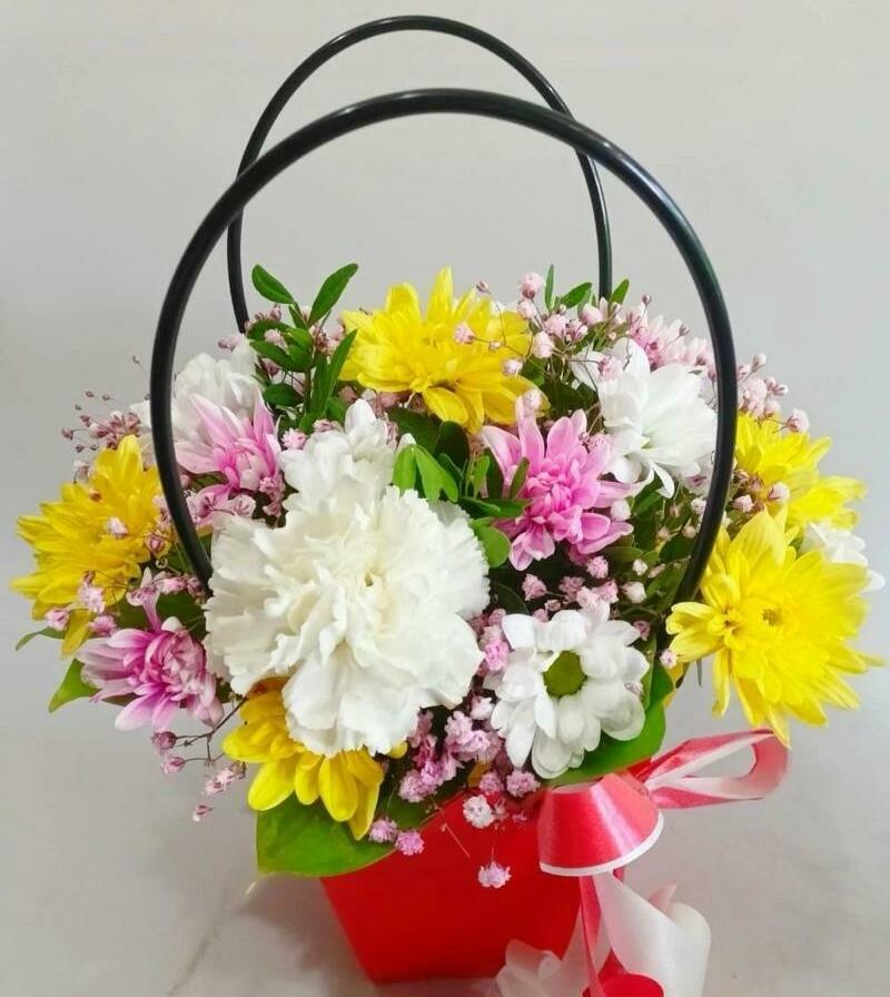 Лучик солнца