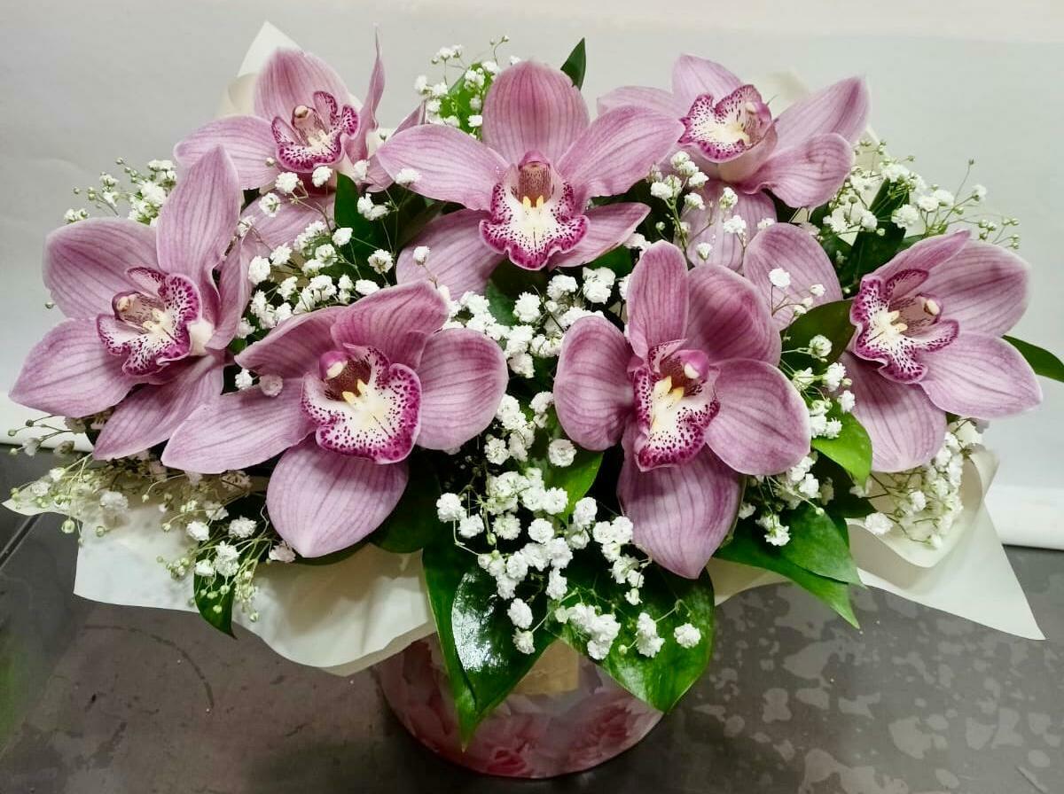 Королевские орхидеи