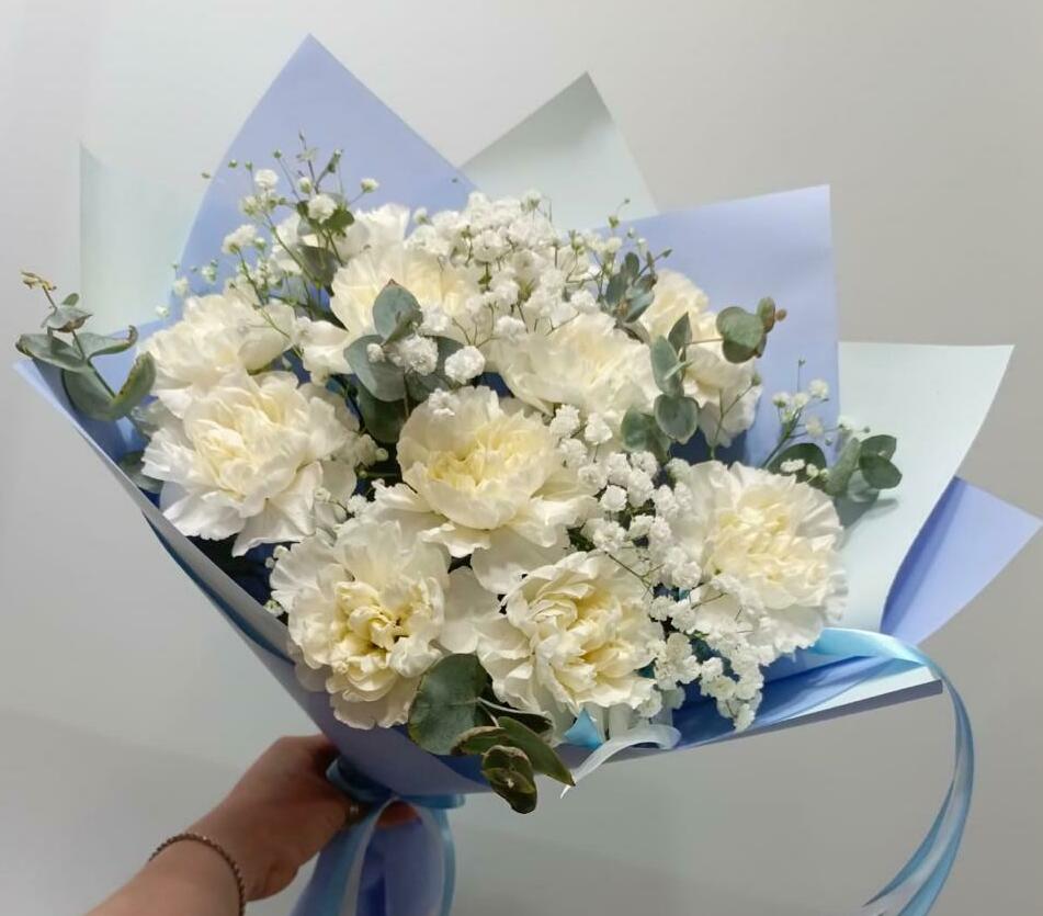 Нежные диантусы