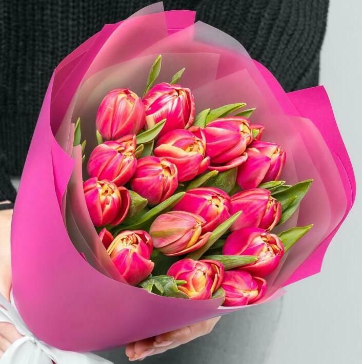 Яркие краски