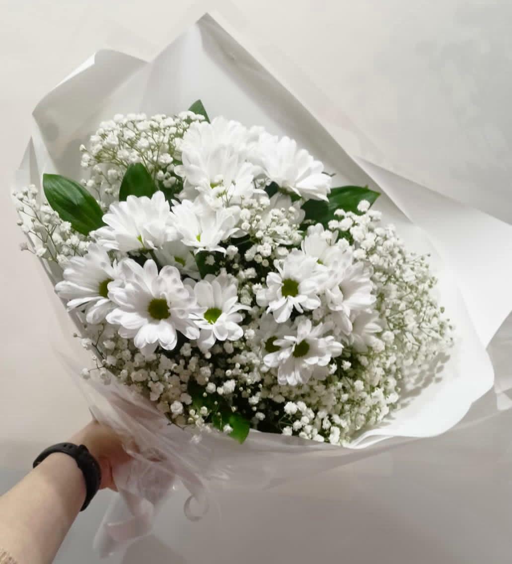 Ромашки для Тебя