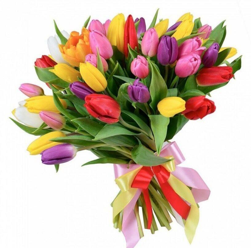 Букет 35-ть тюльпанов микс