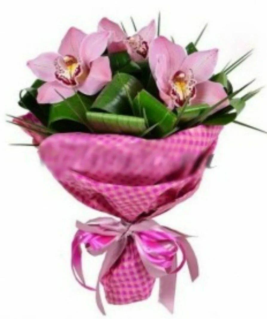 Радость в каждом дне