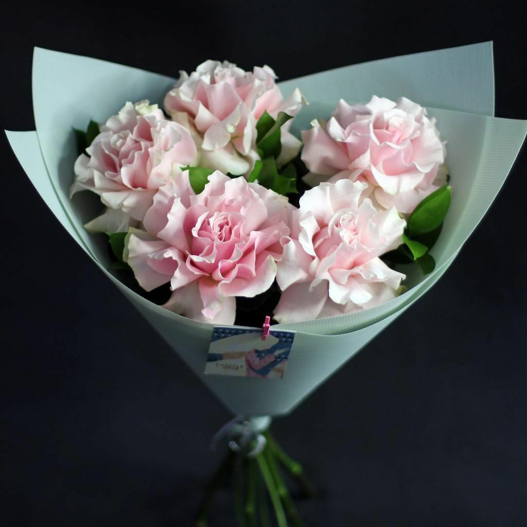 Свежесть россы