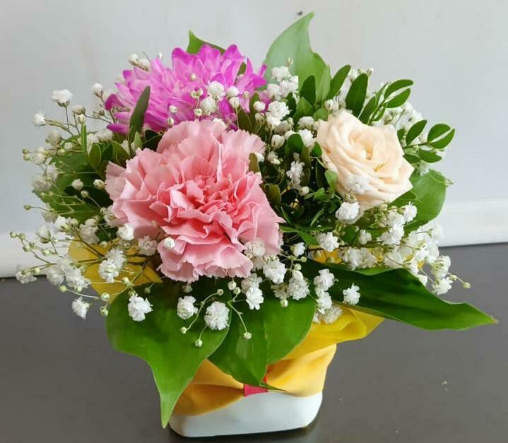 Комплемент