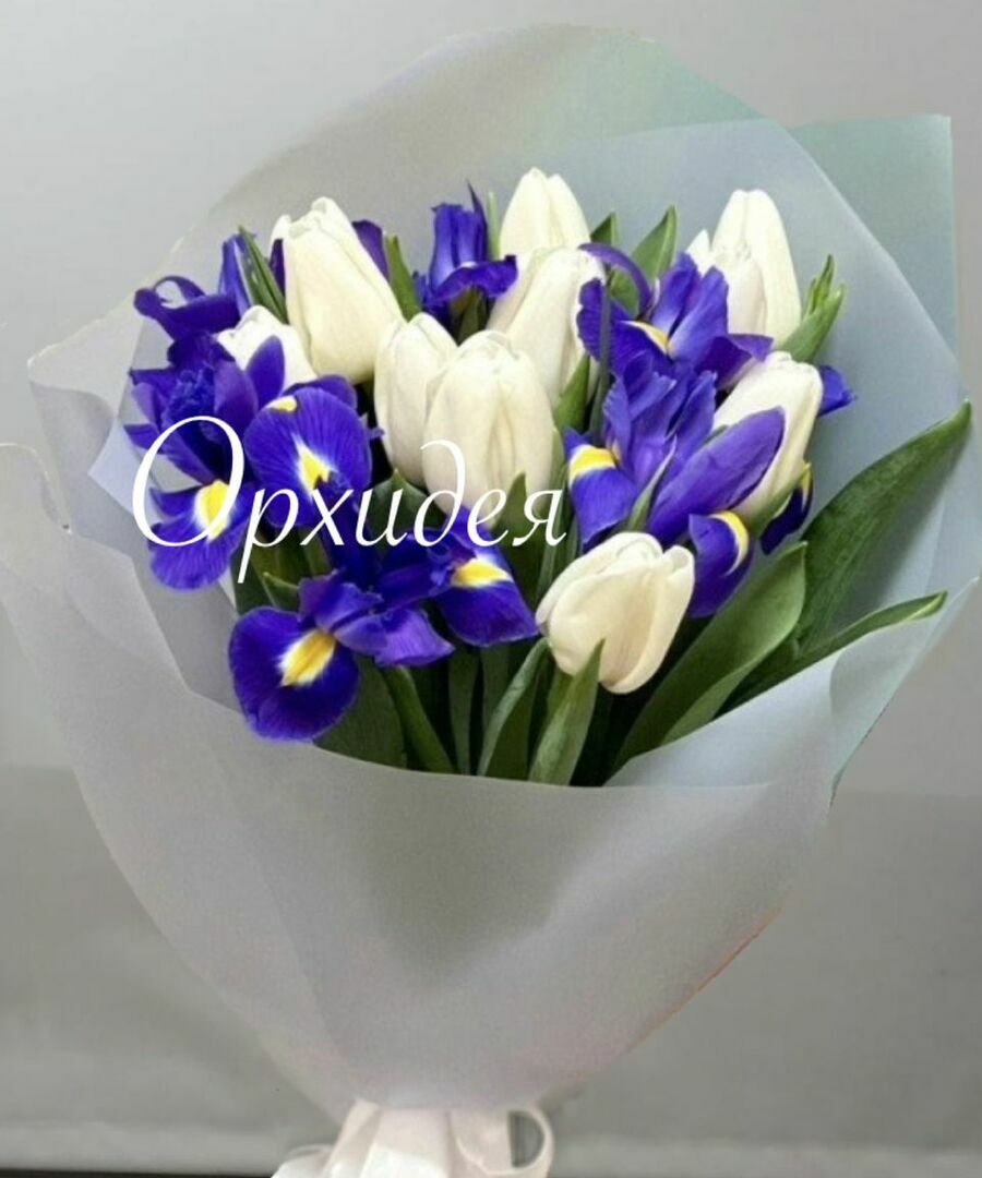 Яркий тандем